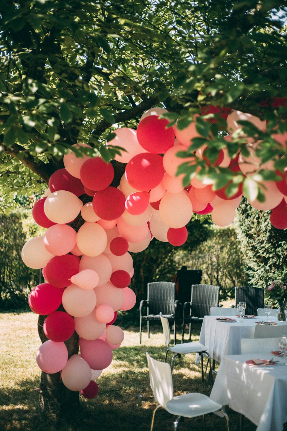 Colorful balloon arch hanging from a tree at an outdoor party.
